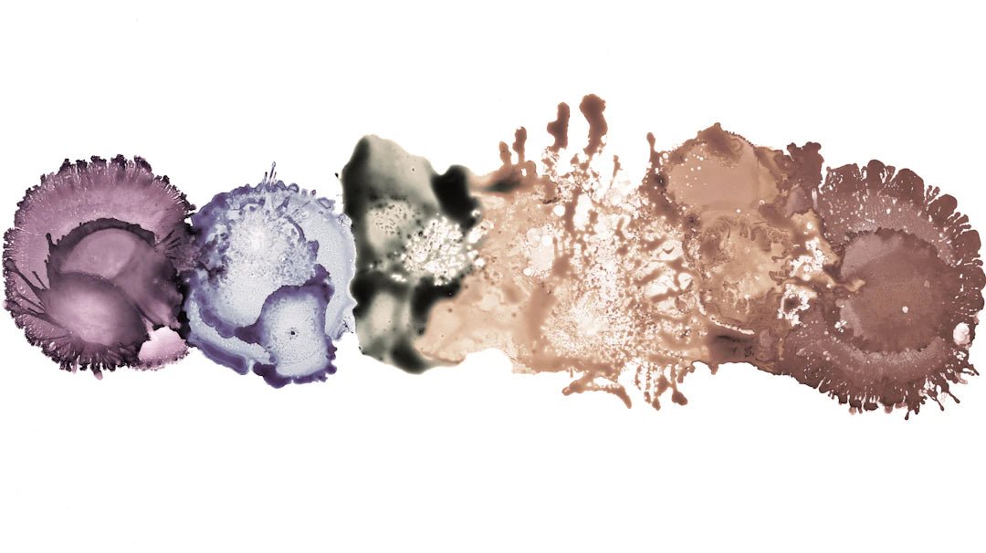 Comprendre votre type de peau pour un fond de teint optimal - Hailey Beauty